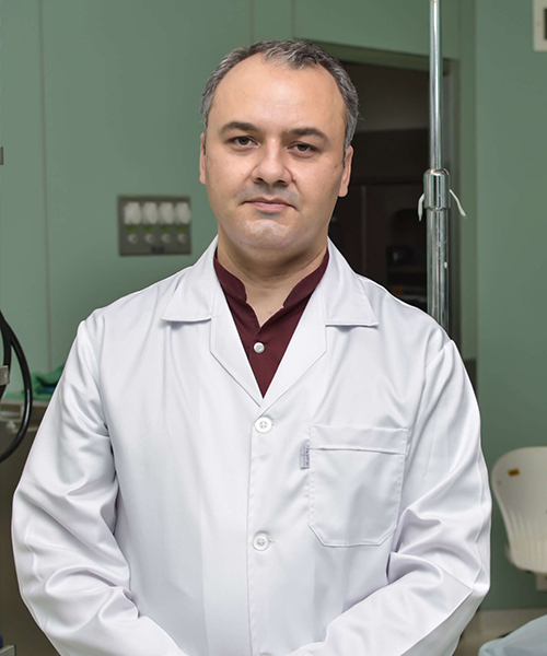 Dr. Sepehr Hamedanchi